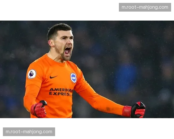 澳大利亚门将马修瑞安经验丰富 后防线伯吉斯德格内奇组合稳固 澳大利亚门将马修瑞安经验丰富 后防线伯吉斯德格内奇组合稳固